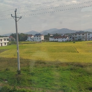 年华