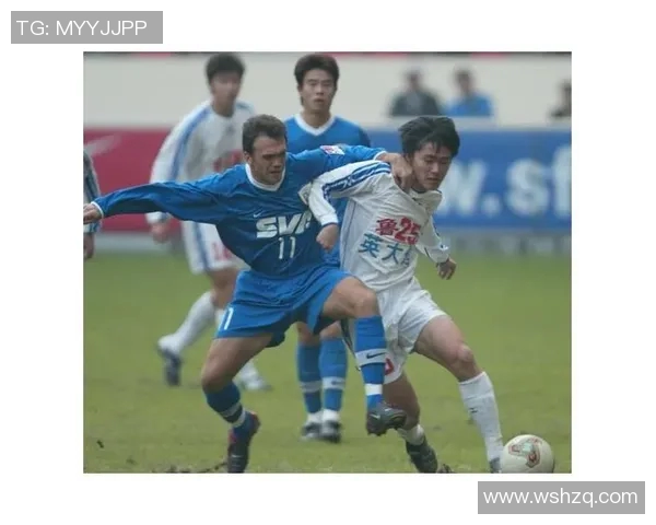 中甲外援融入情况分析及对球队表现的影响探讨