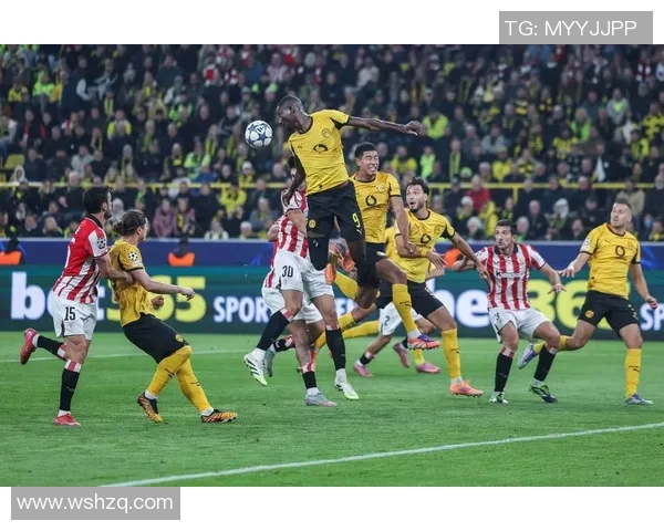 多特蒙德平斯图加特，积分榜稳定不变，保持前进步伐