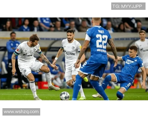 沙尔克04糟糕表现,连败纪录遭遇挑战,球迷担忧困惑