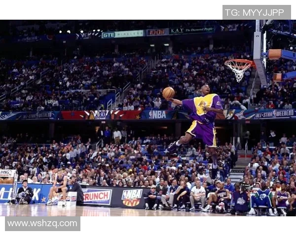 科比：20年努力终回馈，NBA传奇重写篇章